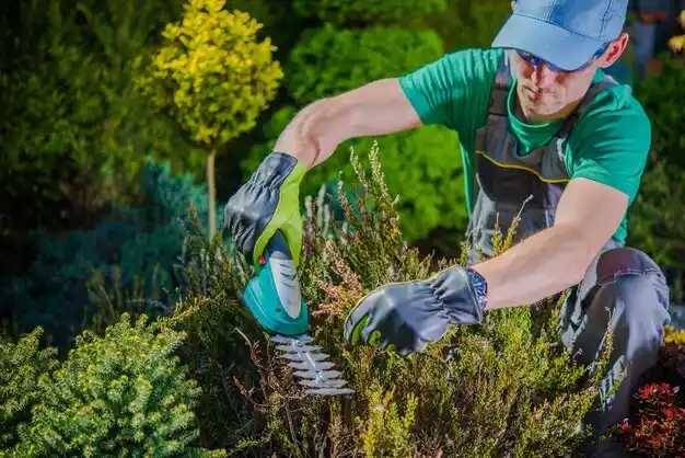 landscaping services Norborne
